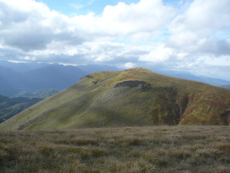 p1020427.jpg