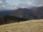 p1020429_small.jpg