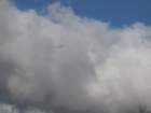 p1020432_small.jpg