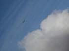 p1020437_small.jpg