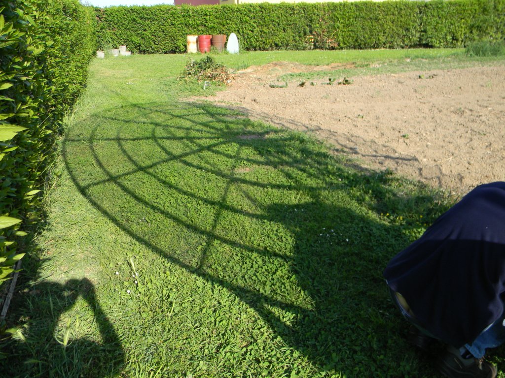 shadow.jpg